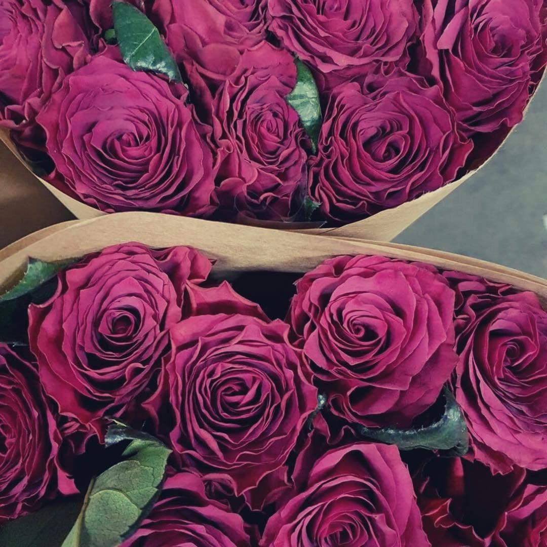 Top 10 Decofresh Roses for a Romantic Valentine's - Article onThursd