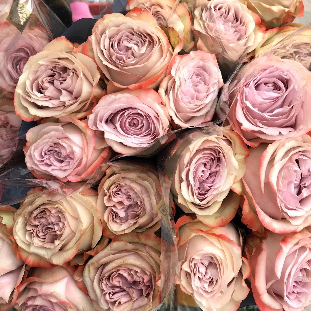 Top 10 Decofresh Roses for a Romantic Valentine's - Article onThursd