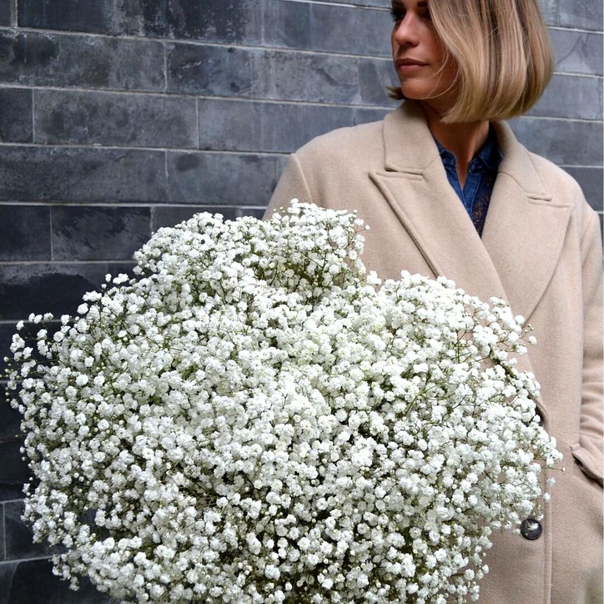 create-an-excellent-valentines-day-with-gypsophila-xlence-featured