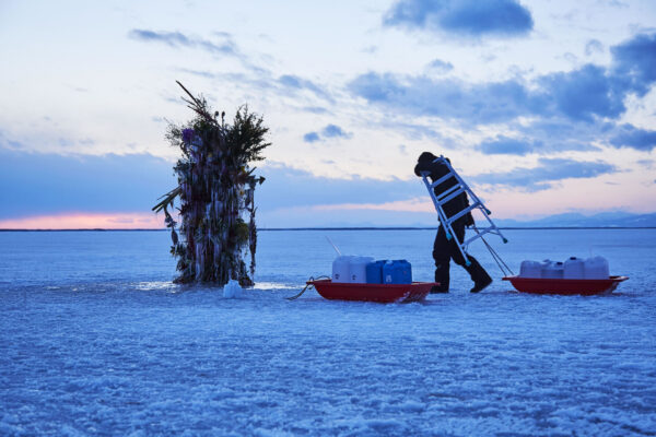 Preserved Floral Arrangements in Ice on the Notsuke Peninsula