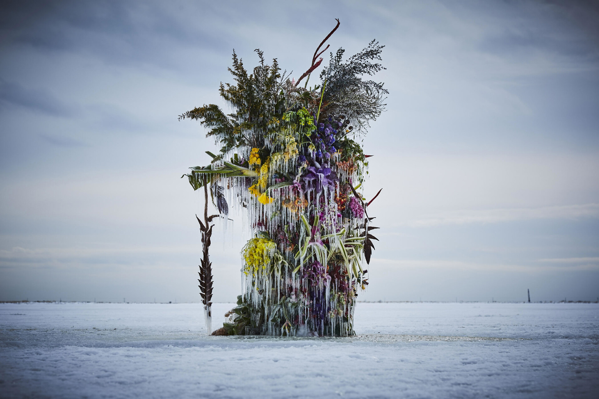 Preserved Floral Arrangements in Ice