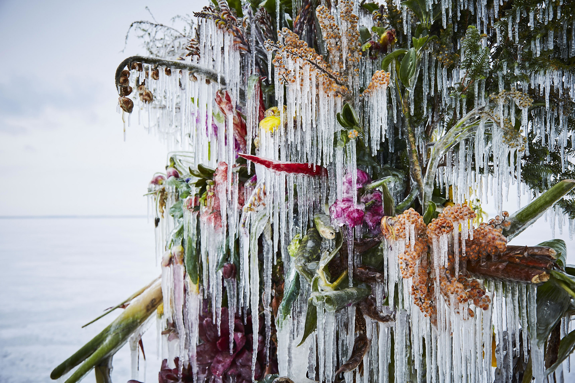 The ever changing beauty of nature showcased by Azuma Makoto