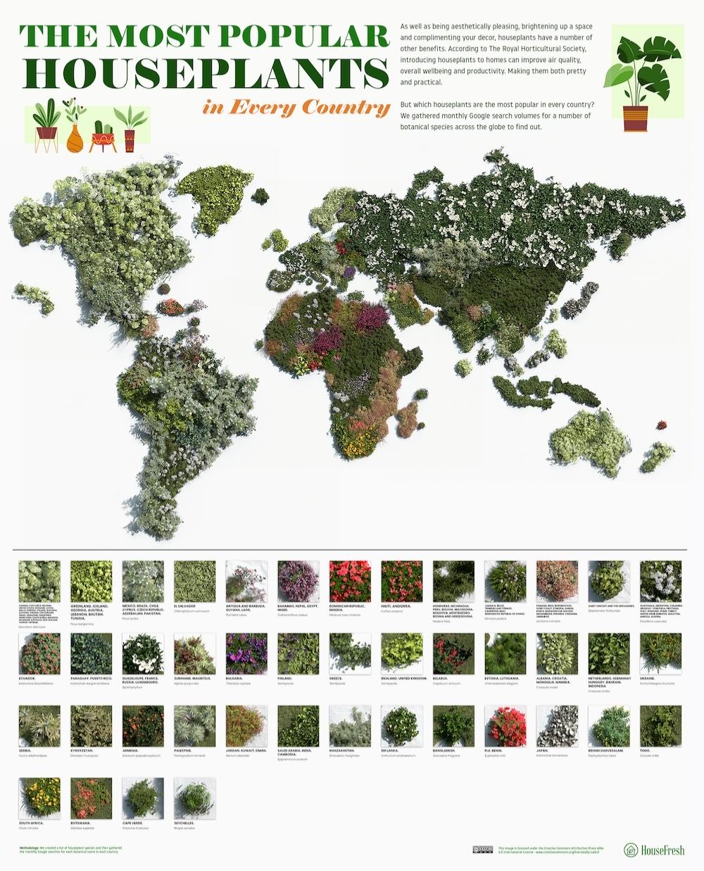 3D Map Most Popular Houseplants in the World