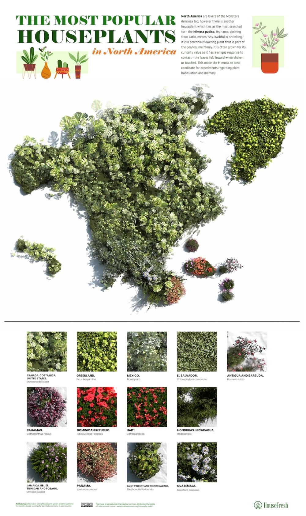 3D Map Most Popular Houseplants in North America