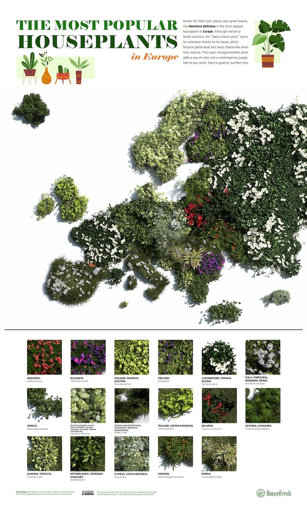 3D Map Most Popular Houseplants in Europe
