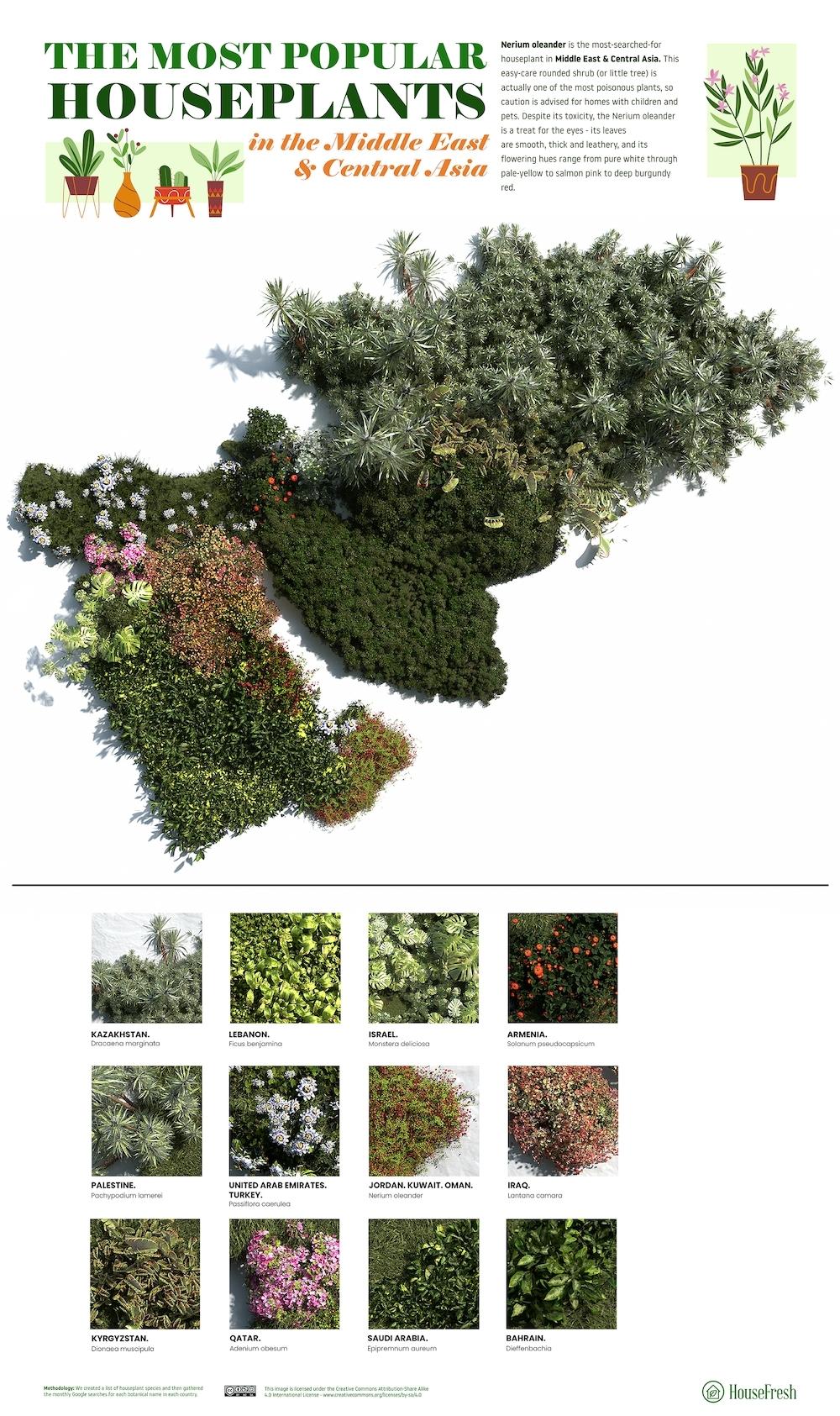 3D Map Most Popular Houseplants in the Middle East and Central Asia