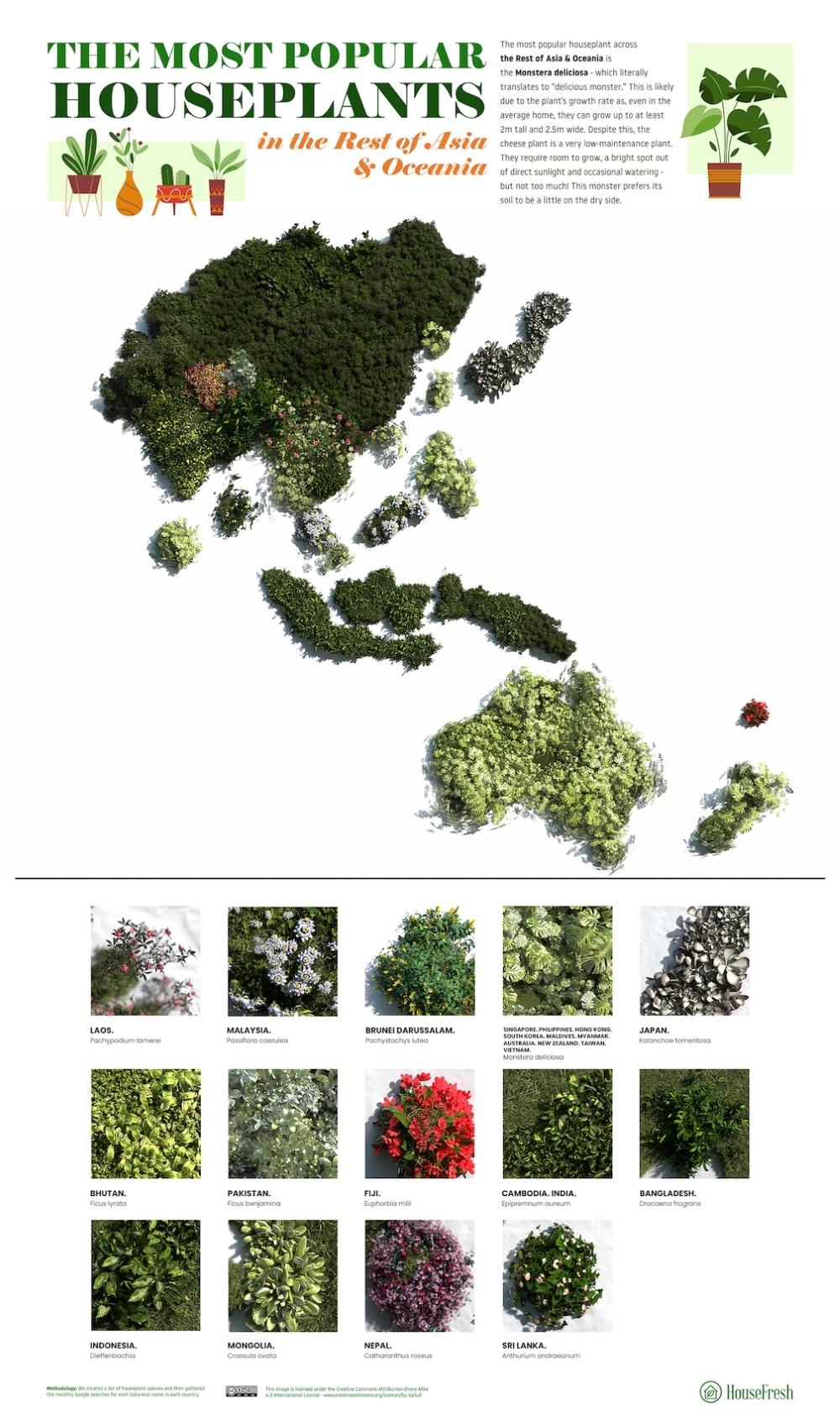 3D Map Most Popular Houseplant in Asia and Oceania