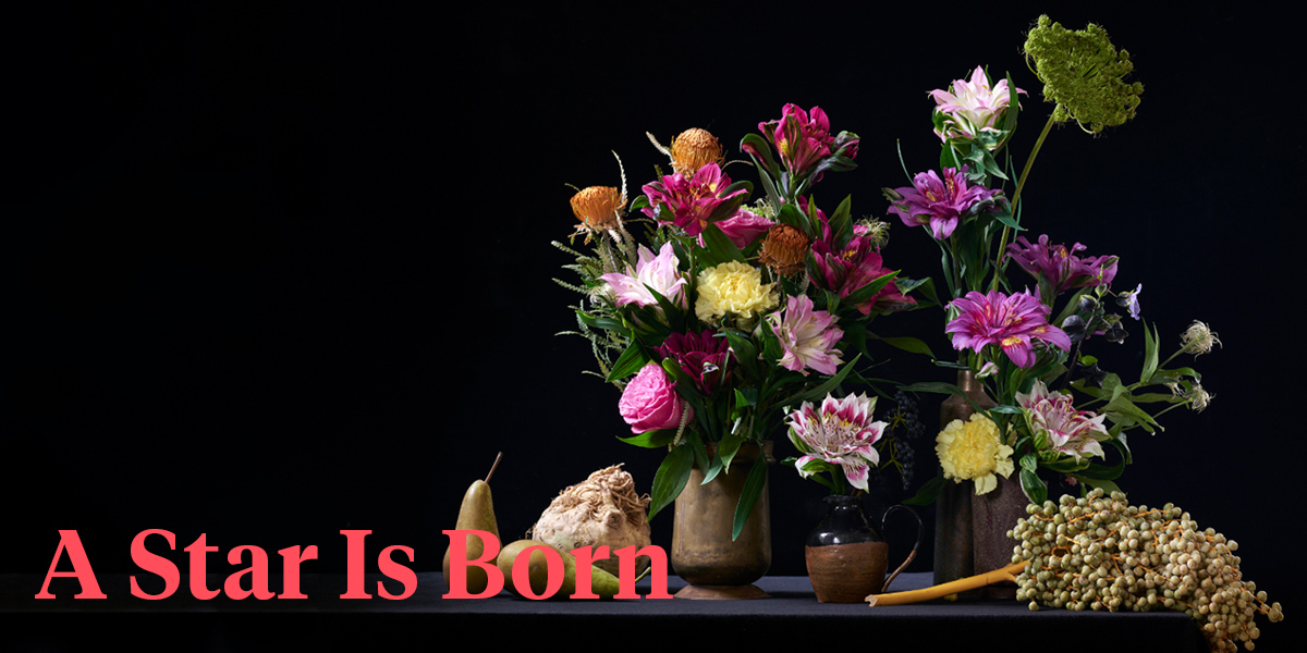 Ten Years in the Making - This Is the Global Introduction of a Completely New Flower Species - Astronova header.jpg