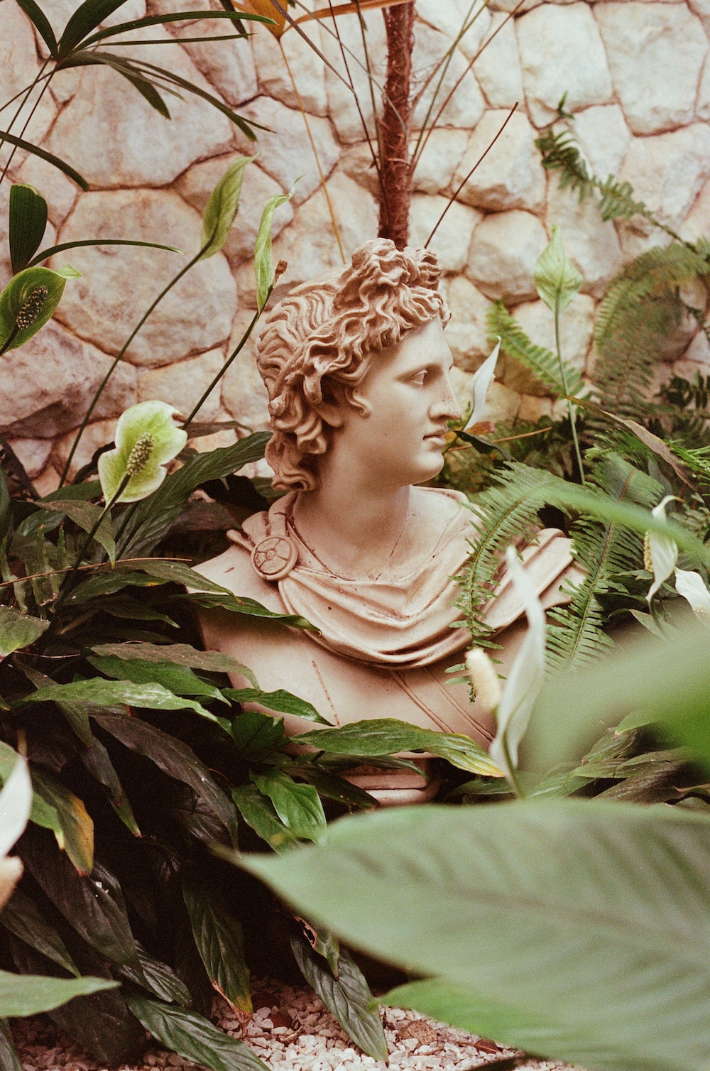 Flowers in Greek Mythology These Are Some of the Best Floral Myths Article on Thursd