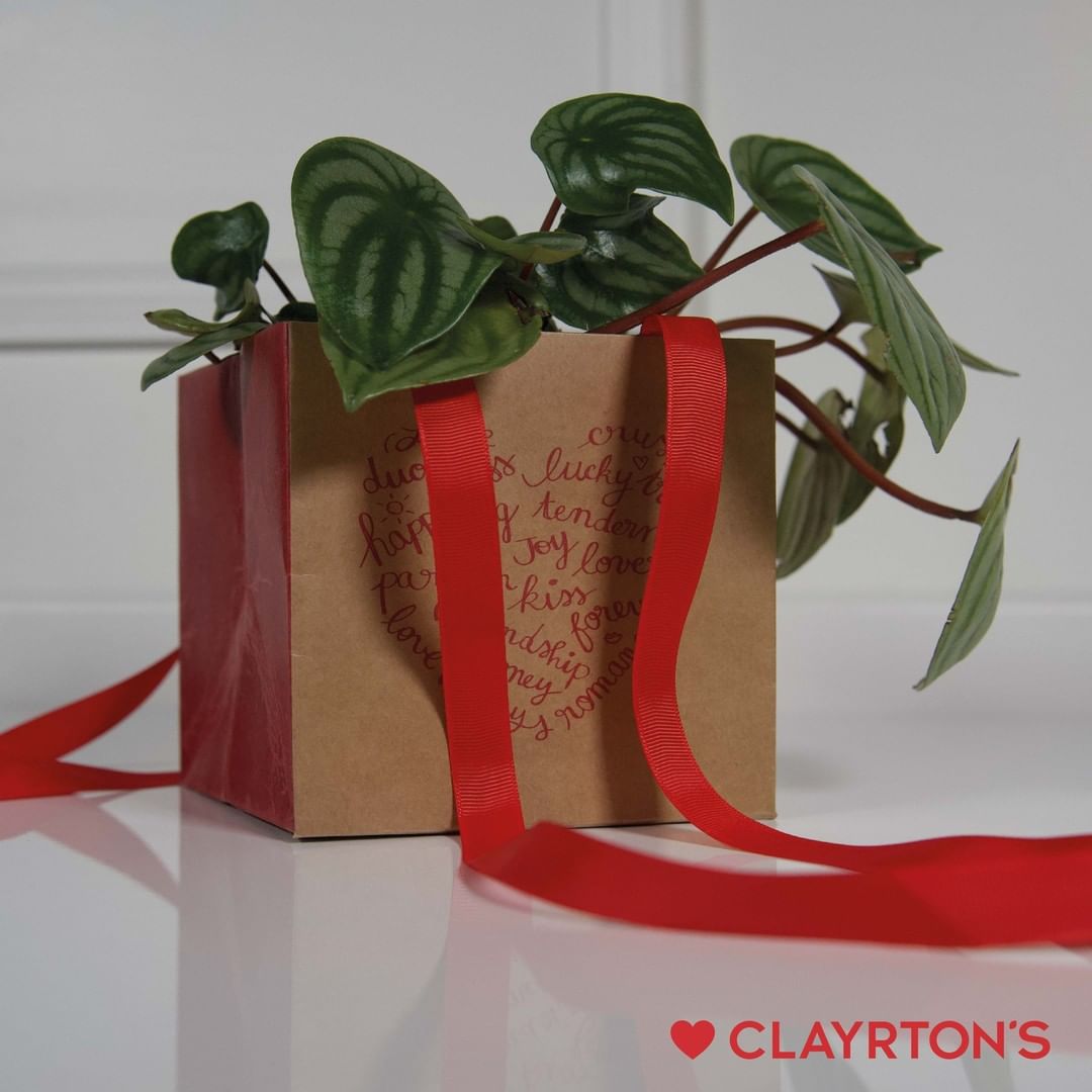 Valentine's Essentials for Florists from Clayrton's