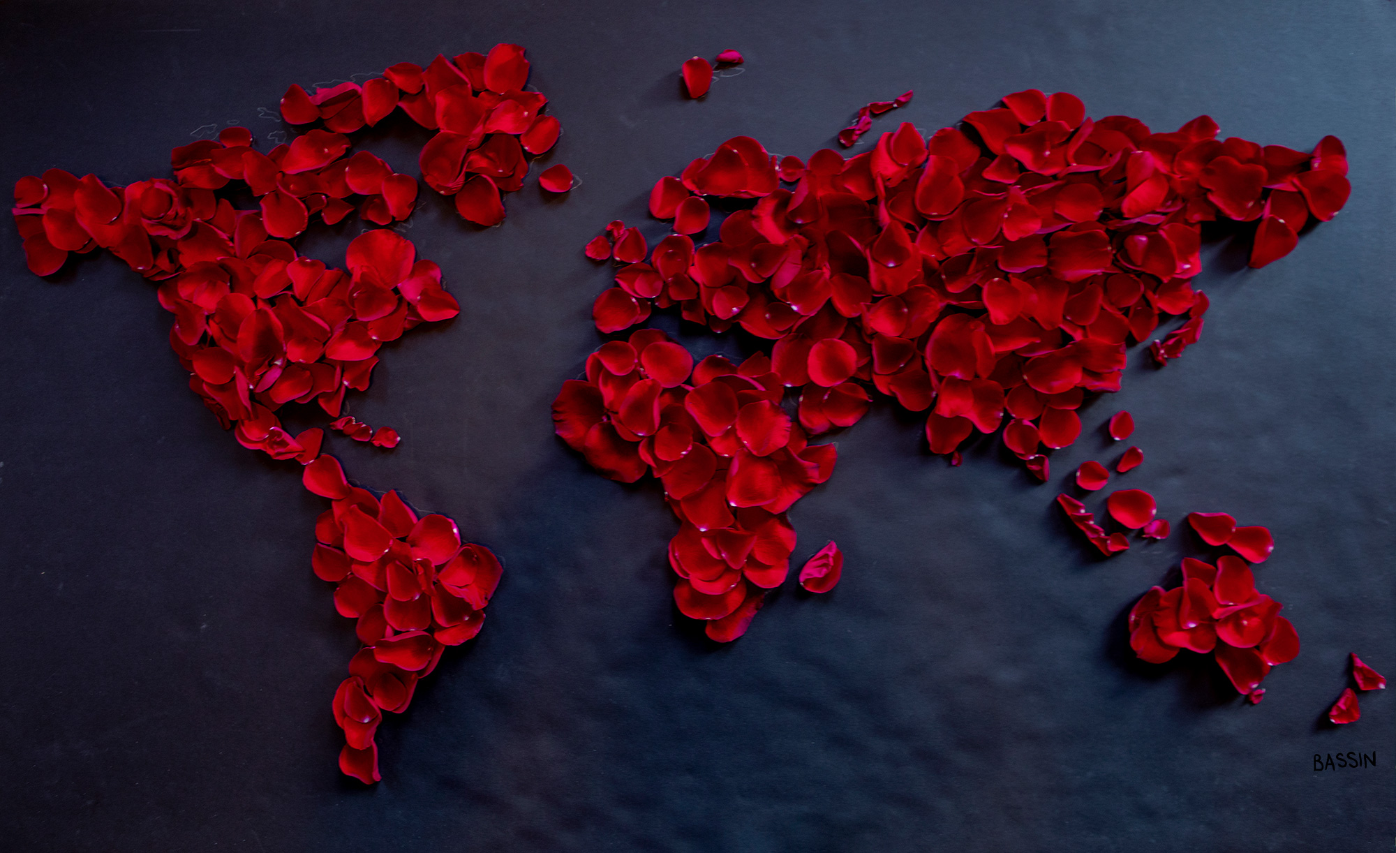 The meaning of red roses - Love all over the world - W+W red rose petals on black 2000 Charlotte Bassin Worldmap Ever Red Rose Petals on Thursd