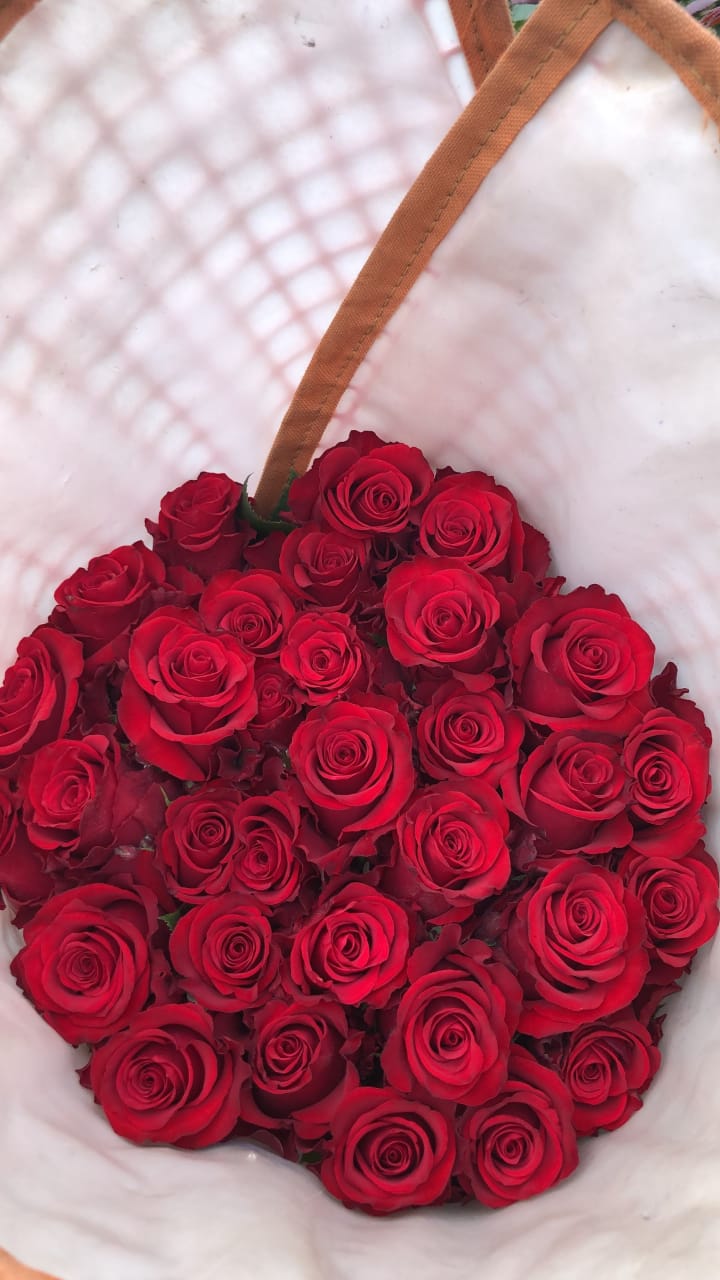 Valentine's Day Flower Sales of Born Free roses - on Thursd