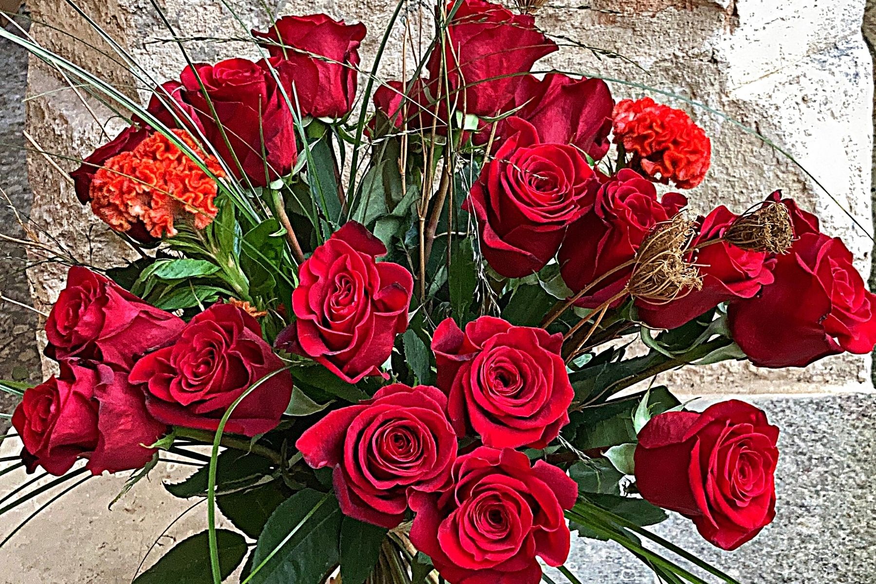 The meaning of red roses - Freedom roses Naranjo Roses on Thursd