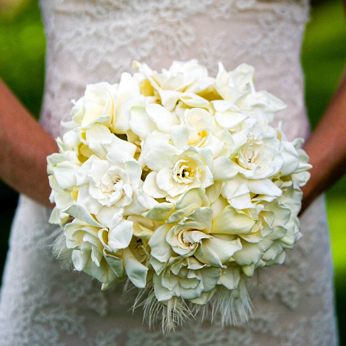 Wedding Gardenia flowers