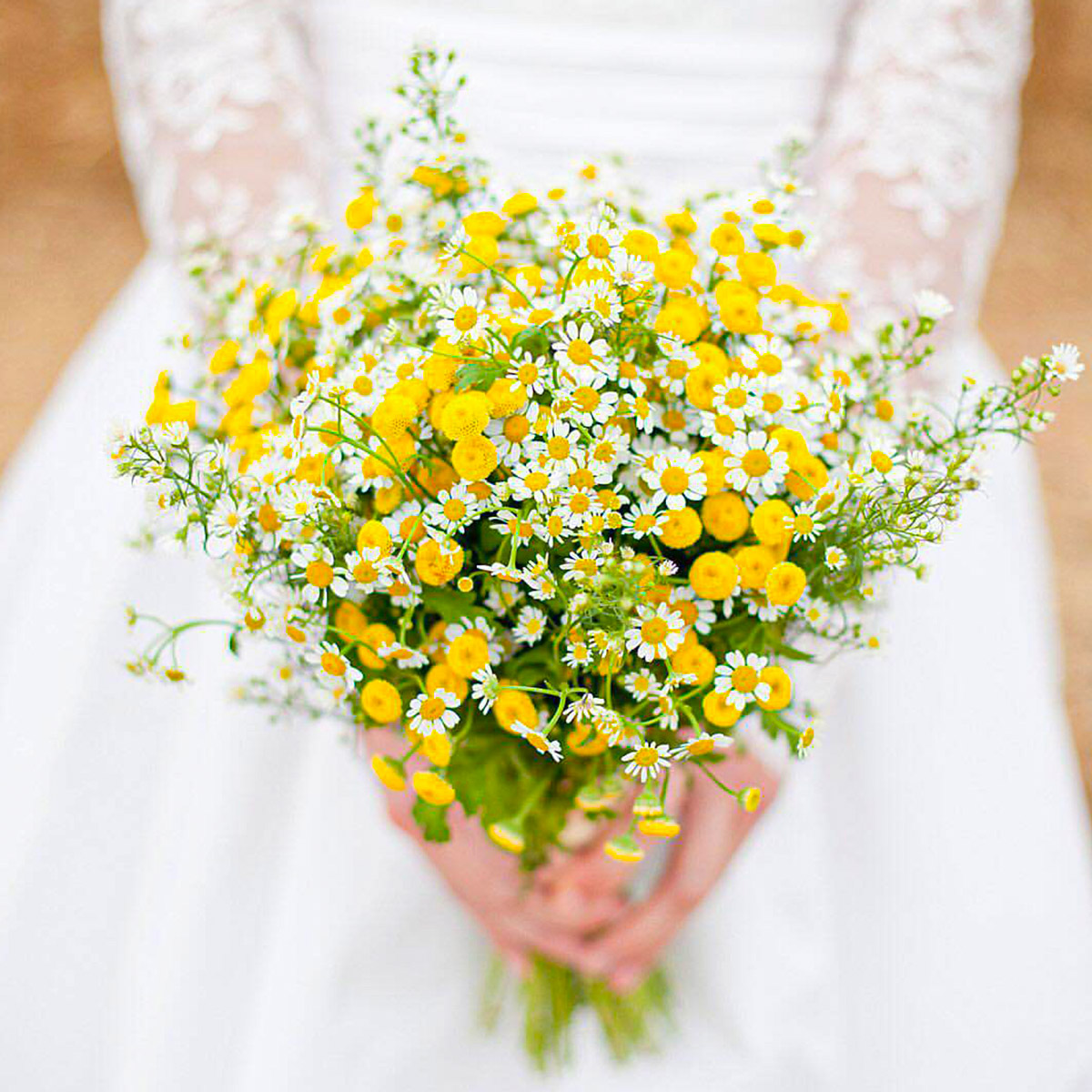 daisy flower bouquet wedding