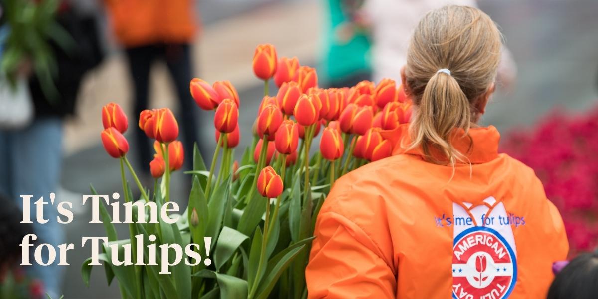 header 100,000 Tulips to Blanket San Francisco’s Union Square on Flower Bulb Day.jpg