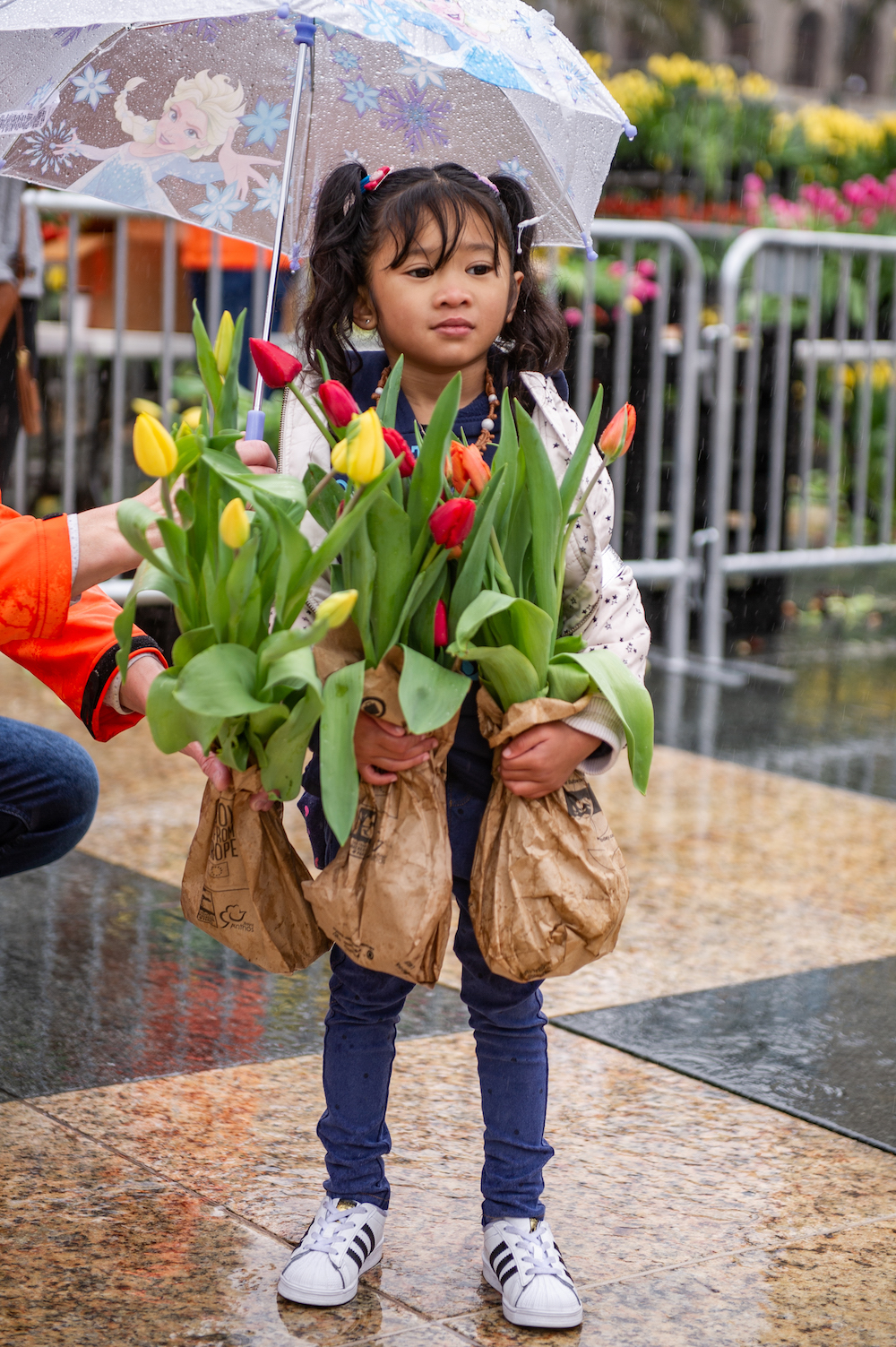 Flower Bulb Day 2022 in San Francisco - on Thursd
