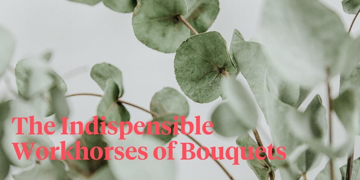 header 3 Types of Foliage from Evanthia That Will Elevate Your Floral Designs.jpg