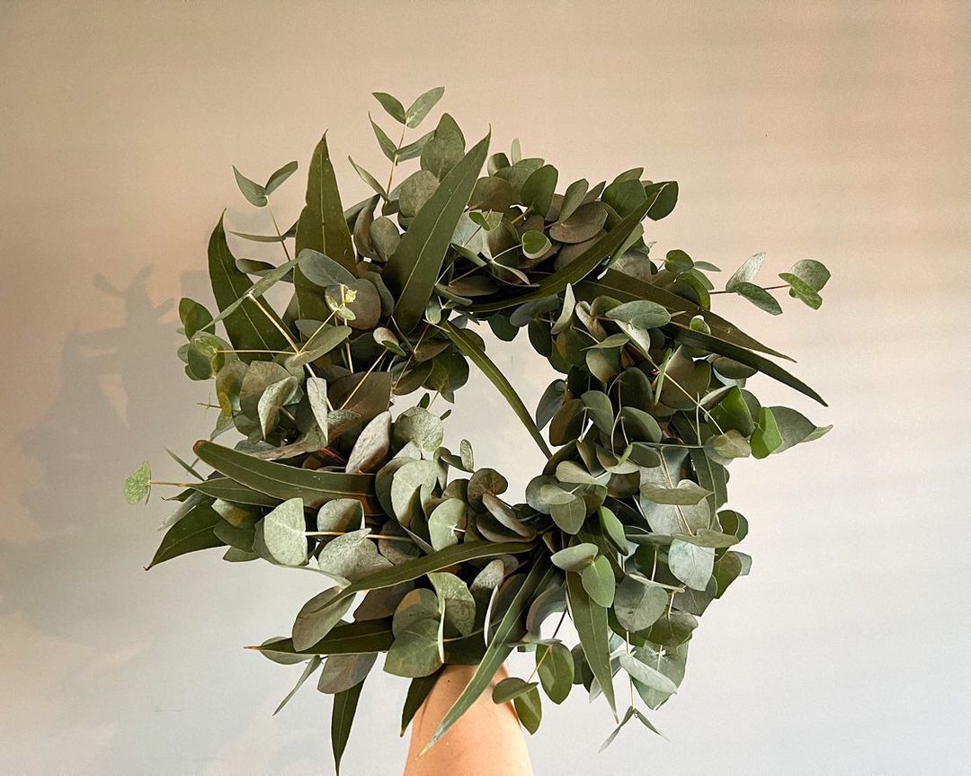 Best foliage and fillers for bouquets - eucalyptus from Evanthia - on Thursd