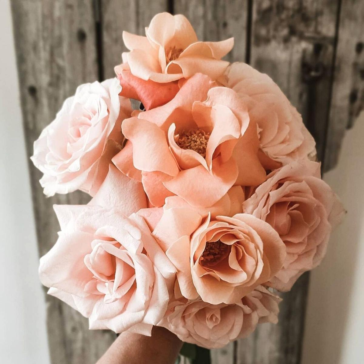 romanticize-your-floral-arrangements-with-the-harmony-in-peach-rose-featured