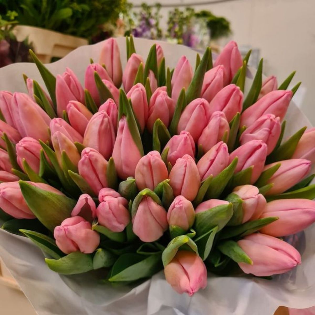 pink tulips from duif flowers on Thursd