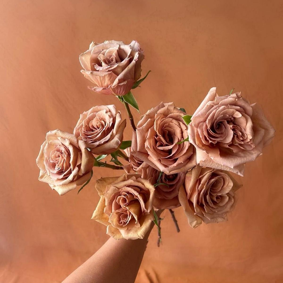 is-the-toffee-rose-the-most-popular-brown-rose-featured