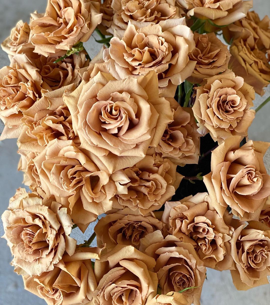 Toffee roses from Brown Breeding - on Thursd