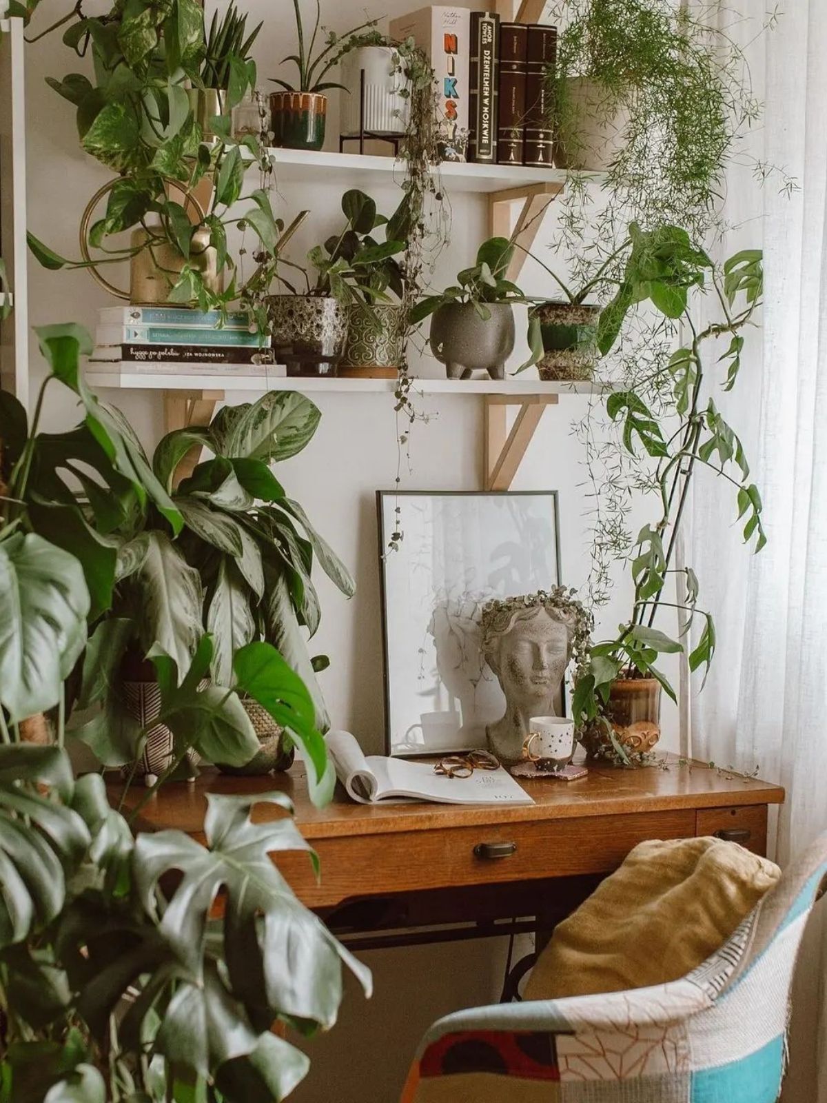 Green workspace of a desk and plants