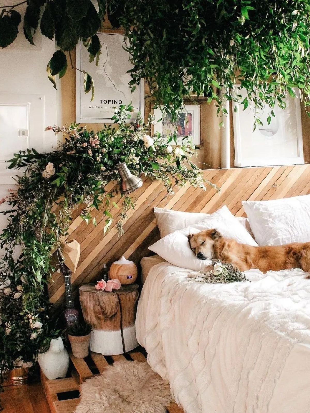 Dog in bedroom filled with plants