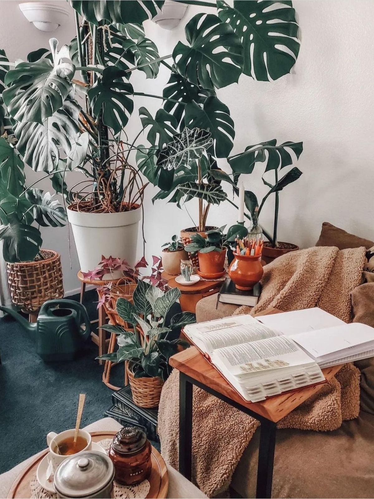 Cozy corner with plants and cushions