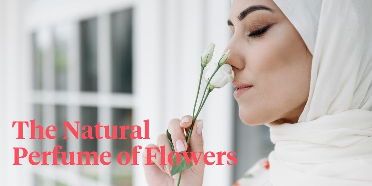 header We All Love Scented Flowers But What Makes Flowers Smell.jpg