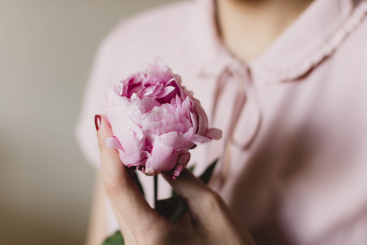 Peony flower for International Women's Day - on Thursd