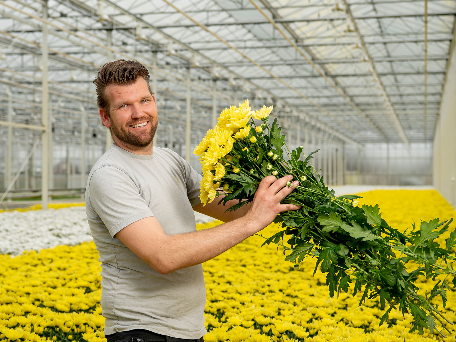 Decorum grower Van Dijk Flowers on Thursd