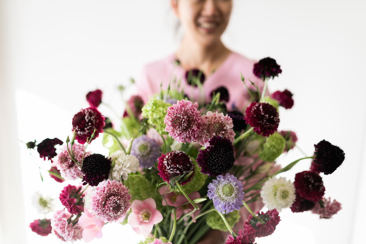 Mixed Scoop Scabiosa flowers - on Thursd