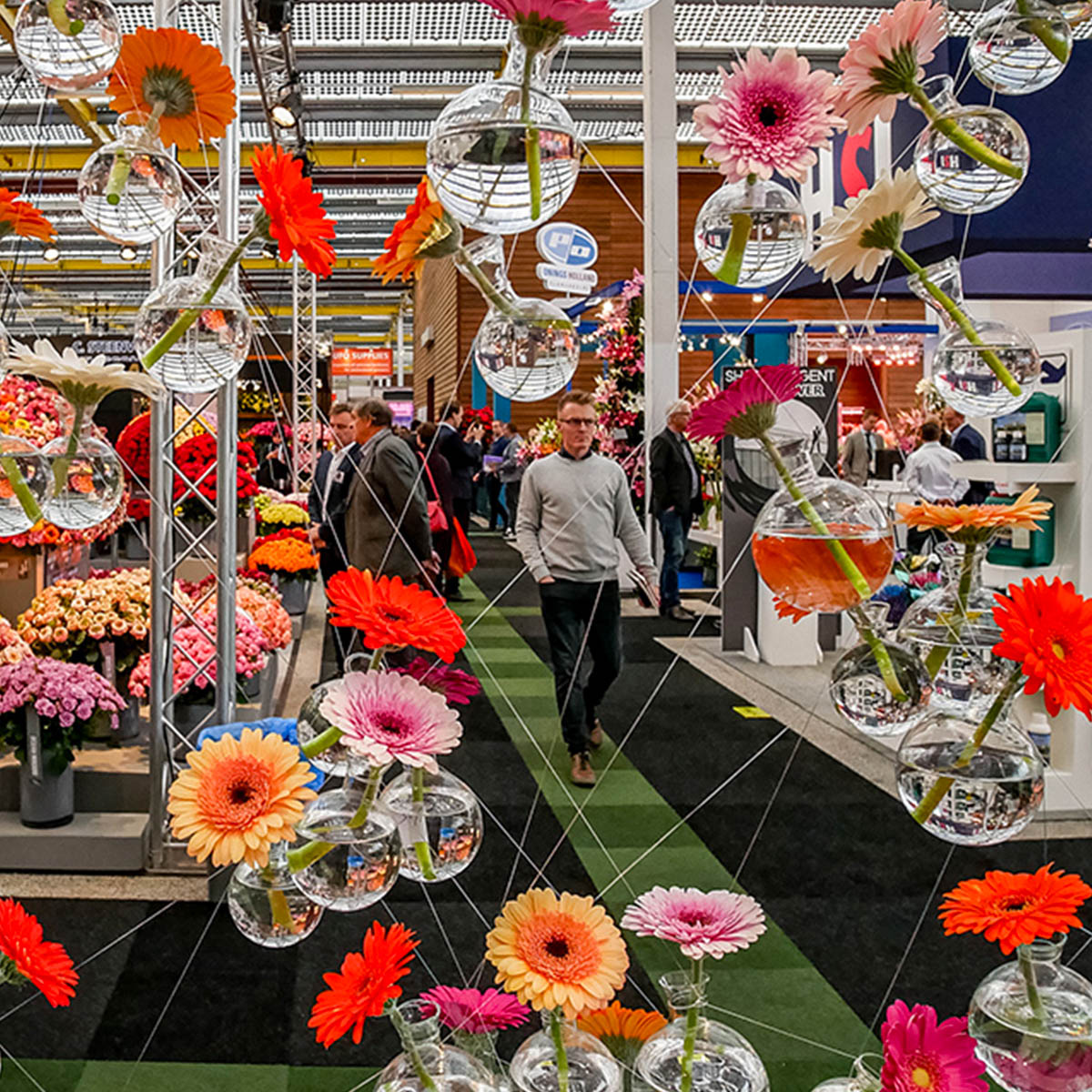 IFTF 2021 Trade Fair Is on Course gerbera