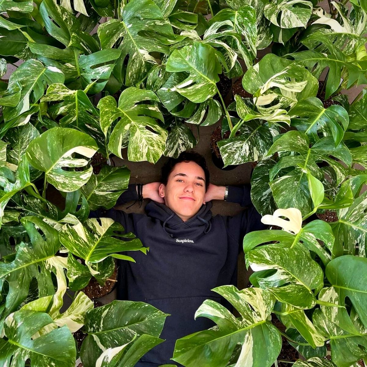 Max Snier with Monstera Albo Variegata - on Thursd 