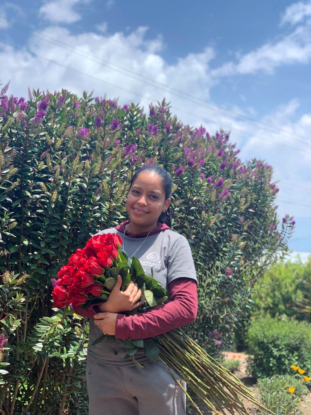 Beautiful Red Roses from Naranjo Roses for Women's Day - on Thursd