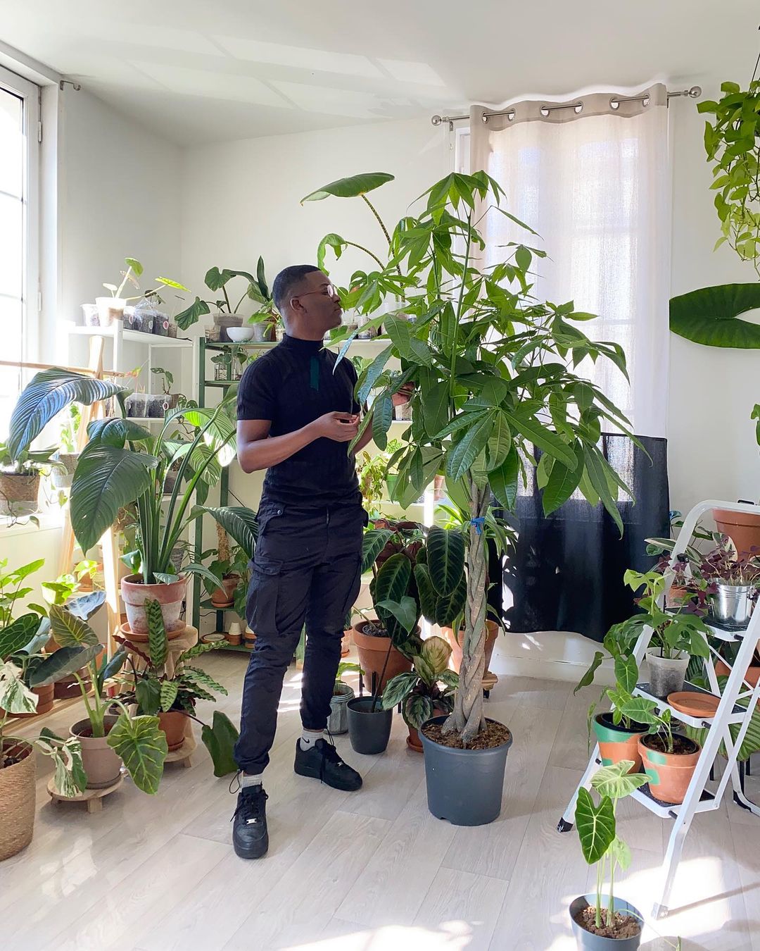 Indoor Plants: The Best Indoor Plants—and How to Care for Them [2024] |  Trusted Since 1922