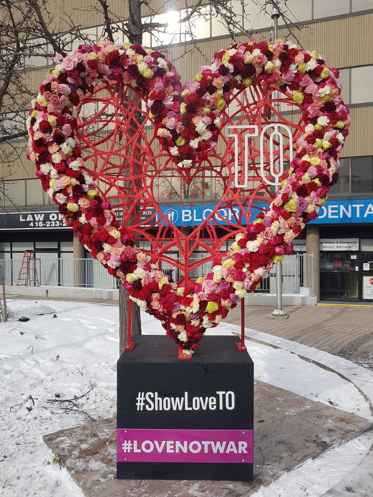 Flower Heart in Toronto Canada for #lovenotwar - on Thursd