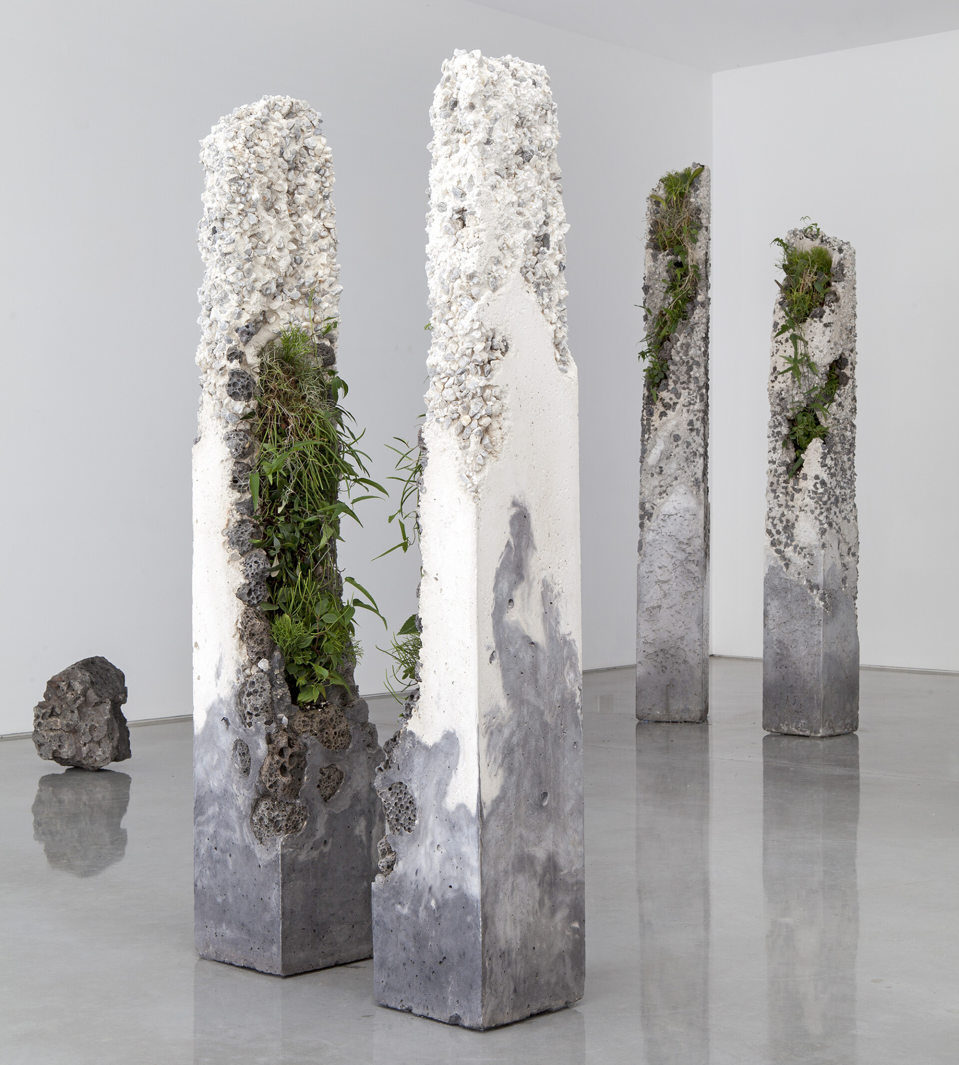 Jamie North Creates Living Sculptures with Native Plants Terraforming