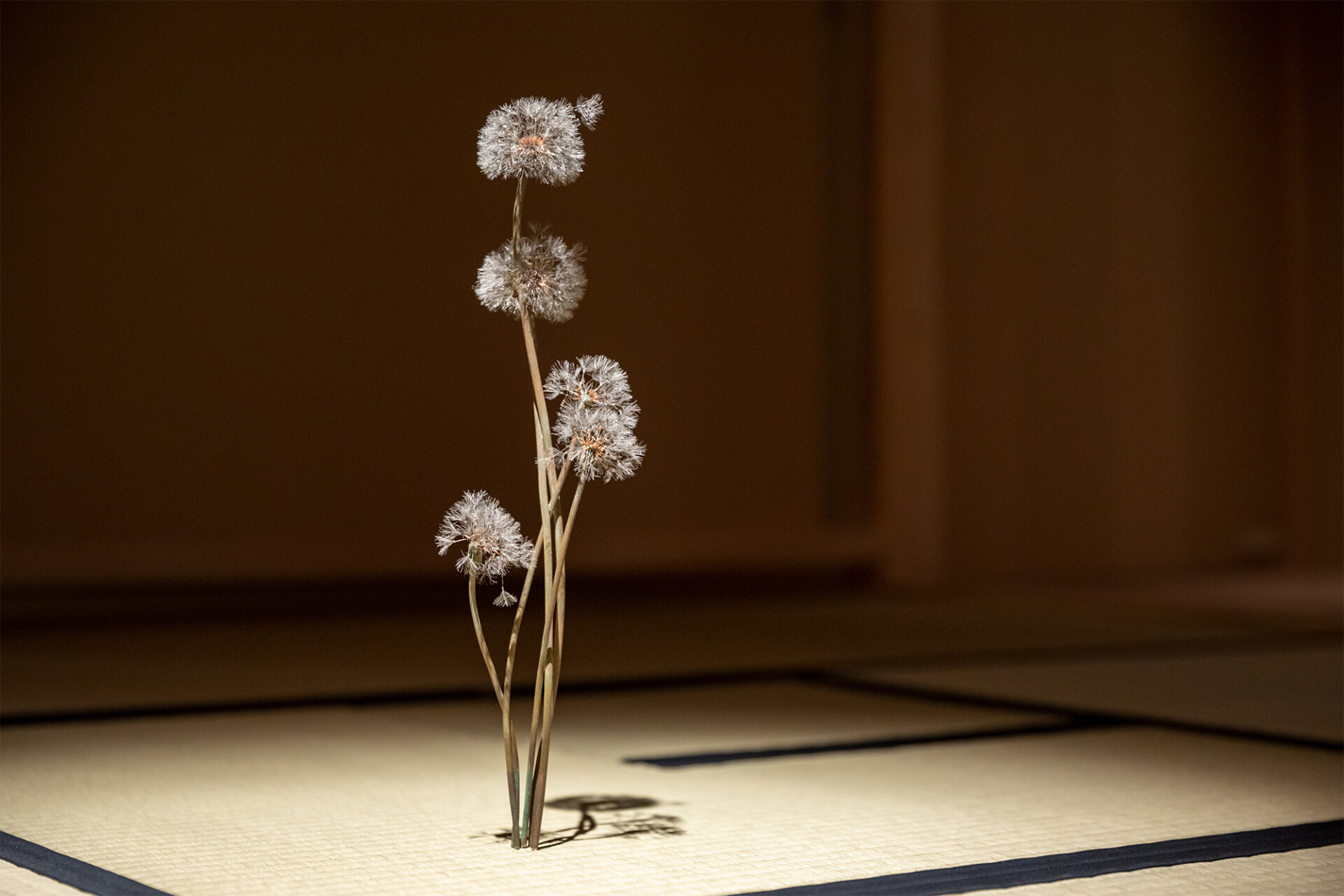 Shota Suzuki's Botanical Creations Crafted from Nature Dandelion