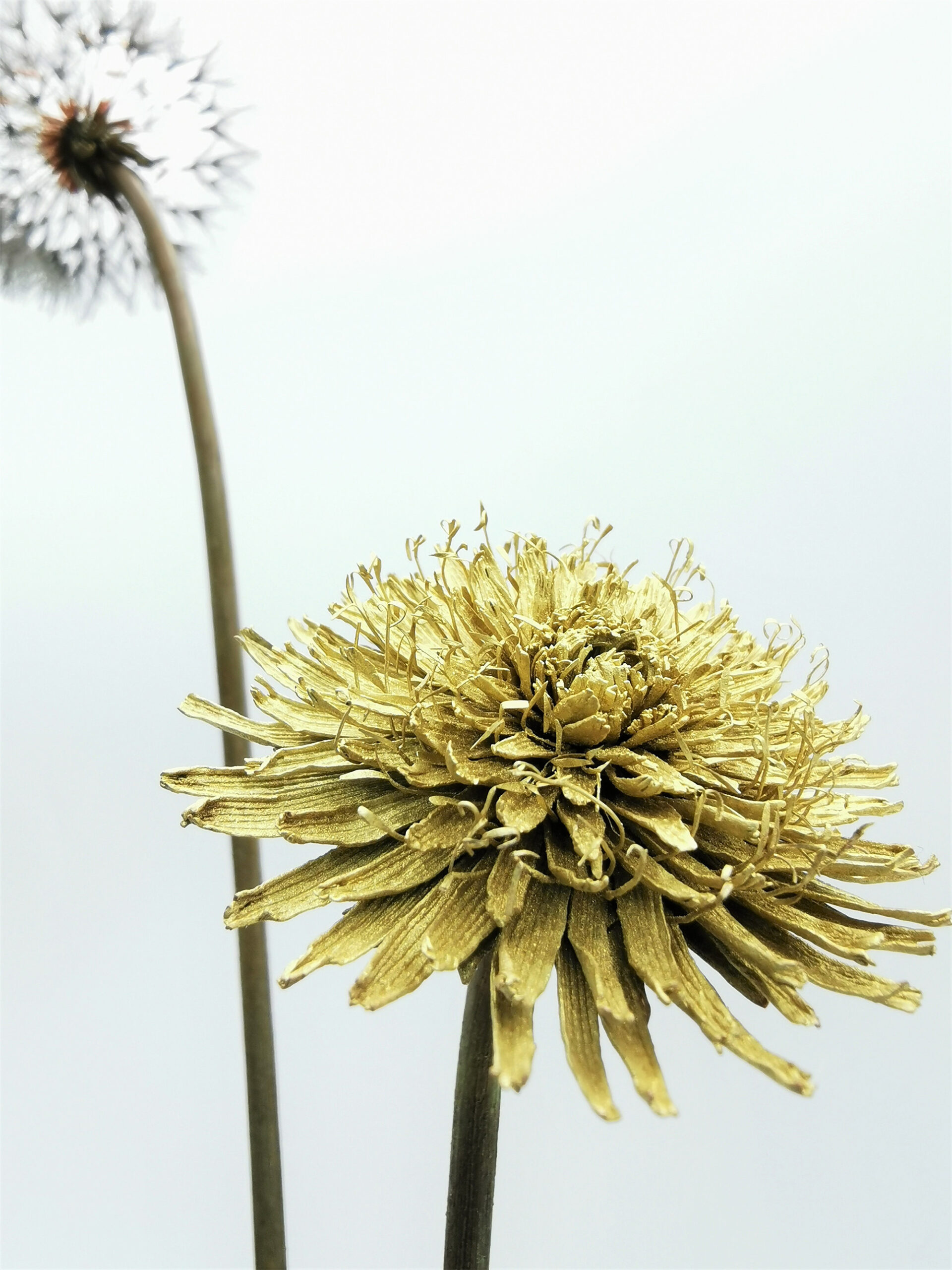 Shota Suzuki's Botanical Creations Crafted from Nature Metal sculpture