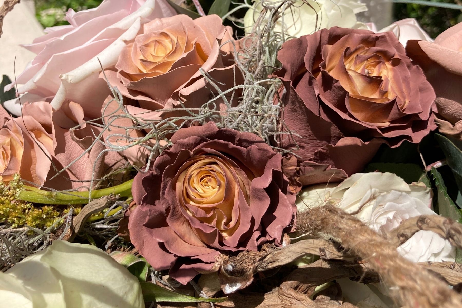 Nude Roses from the Tinted Prestige Collection - Top 10 Roses for Mother's Day  on Thursd