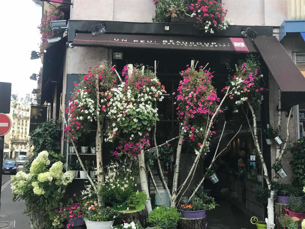Un Peu Beaucoup flower shop in Paris - on Thursd