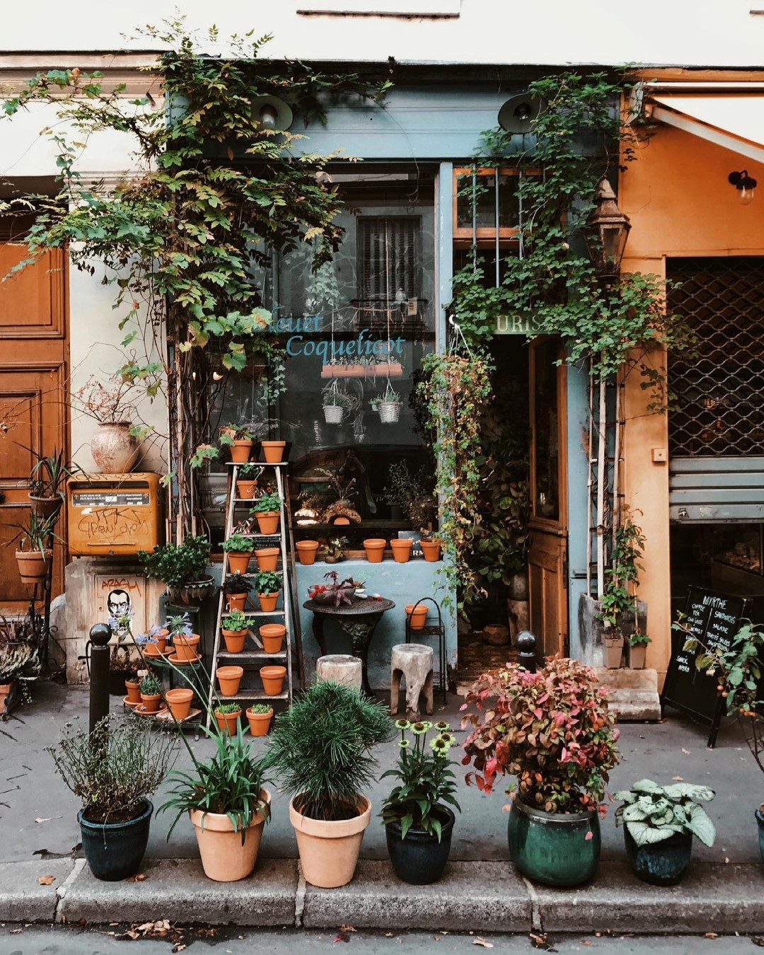 Bleuet Coquelicot Flower Shop in Paris - on Thursd