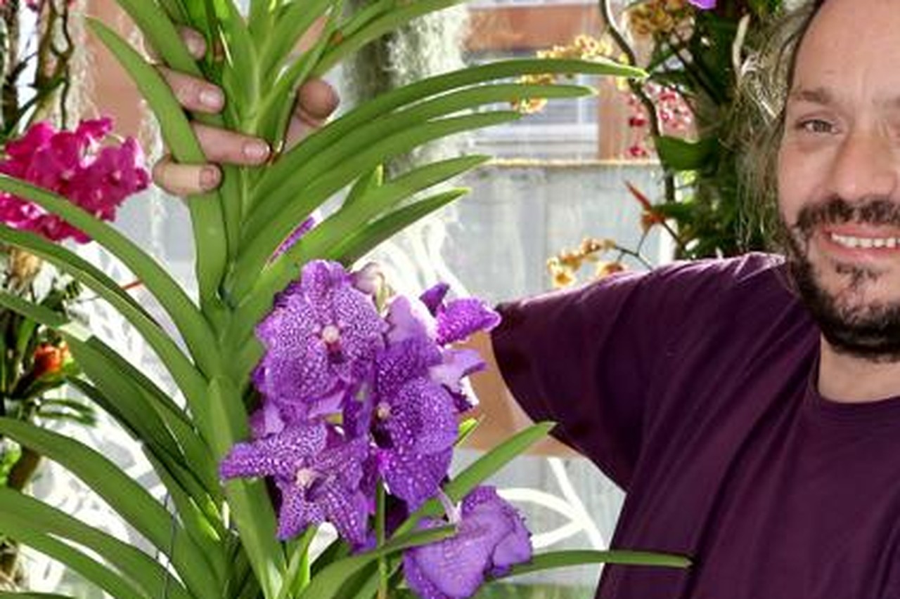 Stijn Simaeys with Vanda Orchid - his favorite flower - on Thursd.jpg