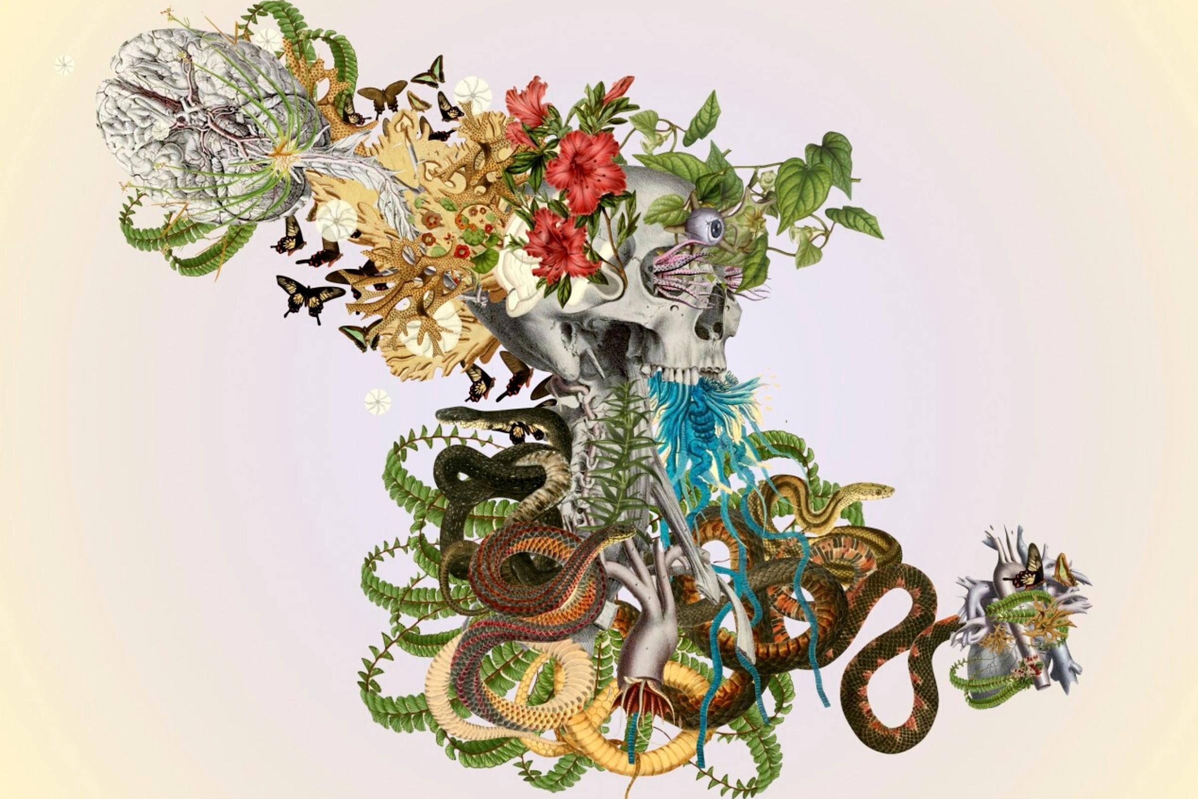 Thursd Wide Feature Travis Bedel's Intricate Collages Blend Human Anatomy with Nature