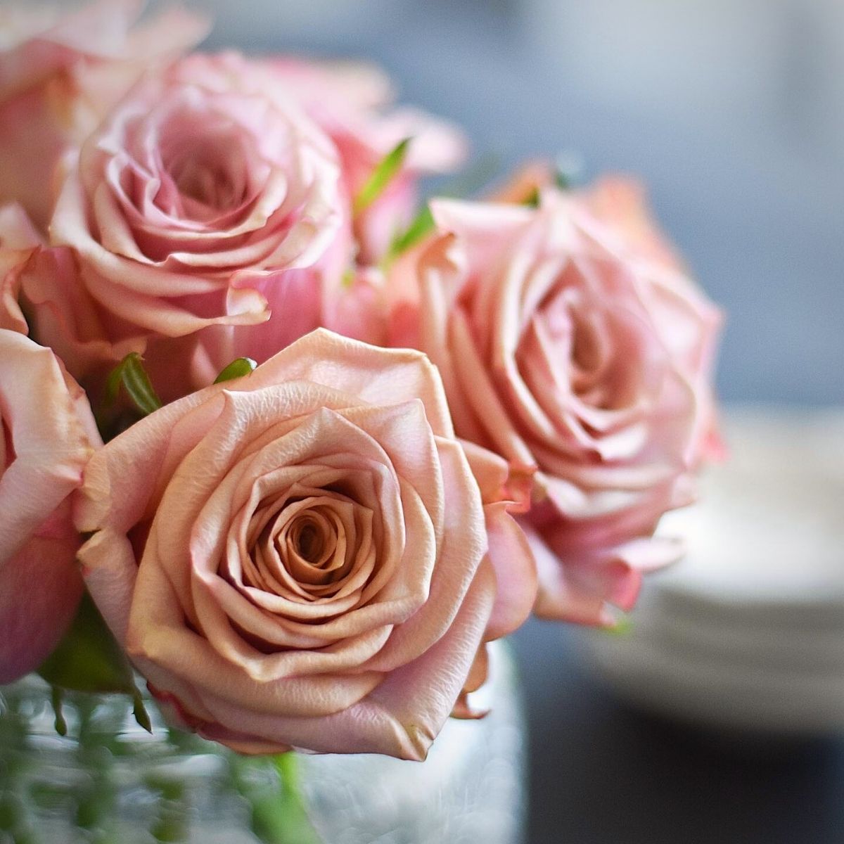 rose-moon-dust-is-2022s-rising-star-rose-among-top-floral-designers-featured