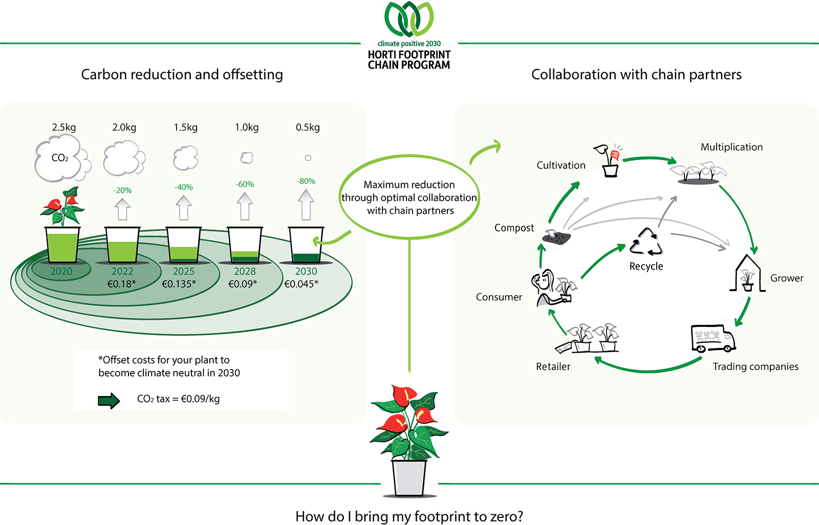 Horti Footprint Chain Program Visualization - on Thursd