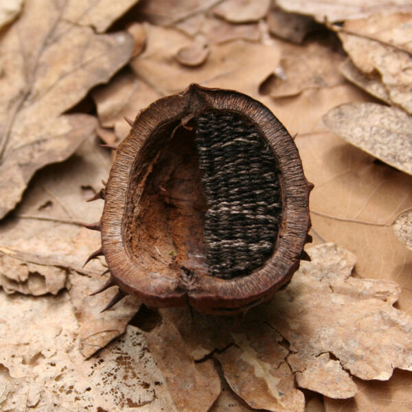 Stitched chestnut shell